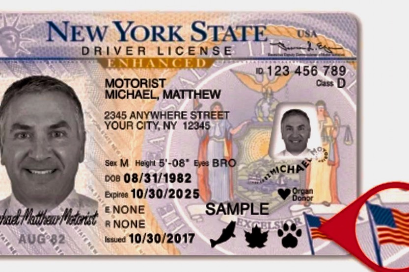 how to check drivers license online