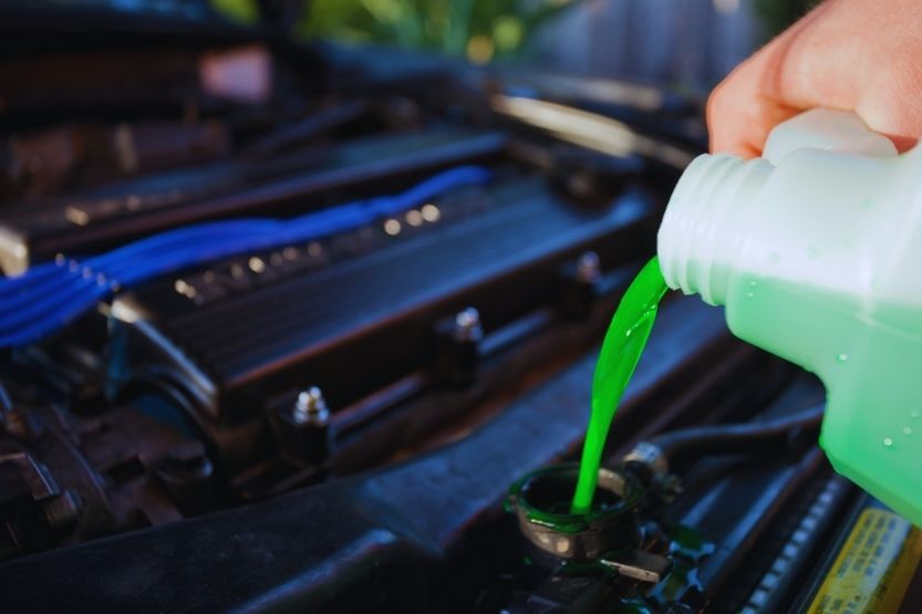 how to put antifreeze in car