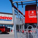 Costco Car Battery Price, Warranty, Return Policy Review