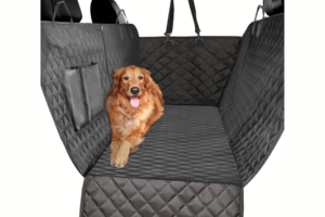 Read more about the article Best Dog Seat Cover for Truck: Top Picks for 2023